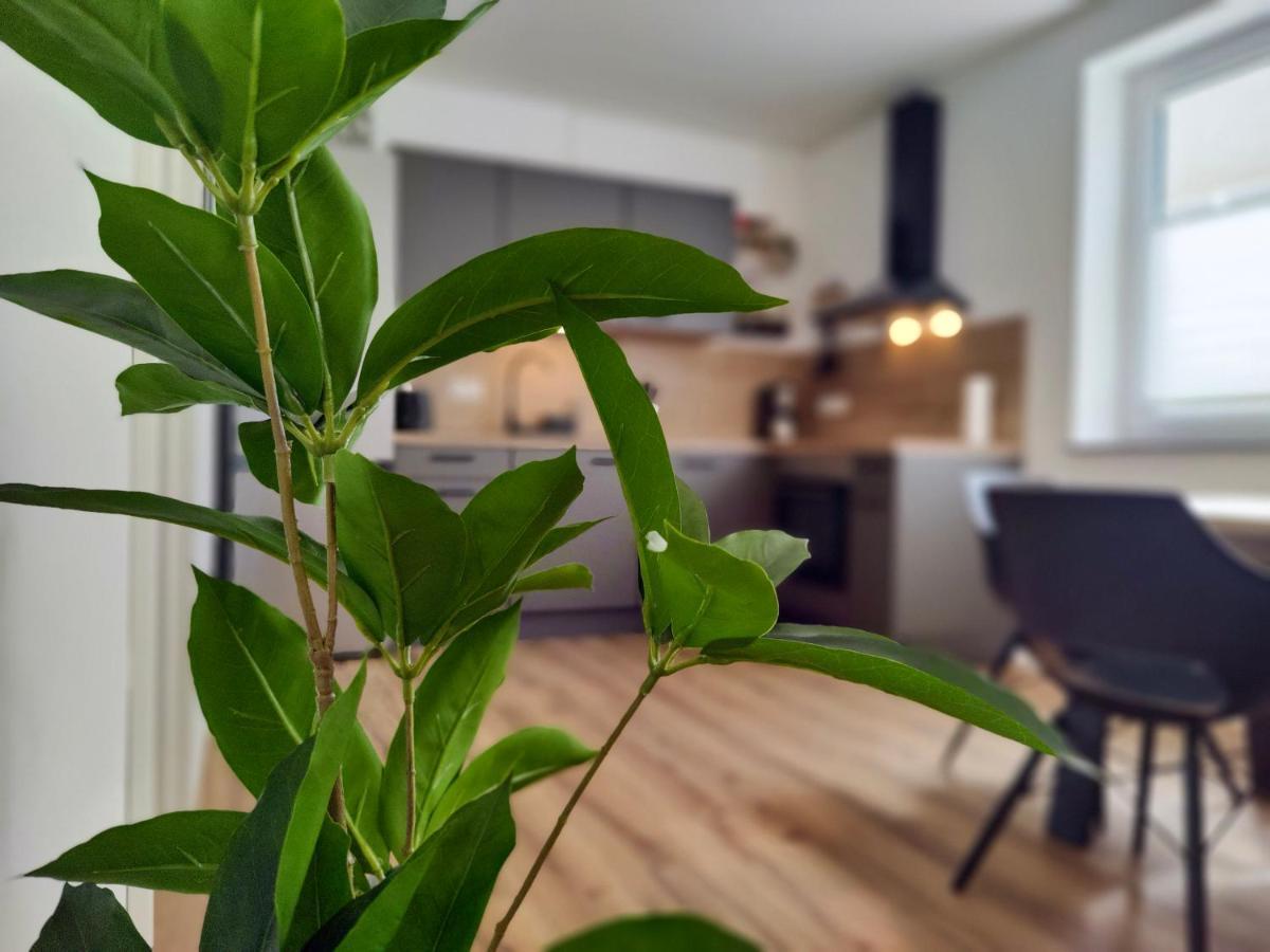 Hygge Home - Mit Garten Und Stellplatz Fuer Feriengaeste-, Monteure / Netflix / 10 Min. Zur Sinsheim Therme Und Zur Autobahn Екстериор снимка